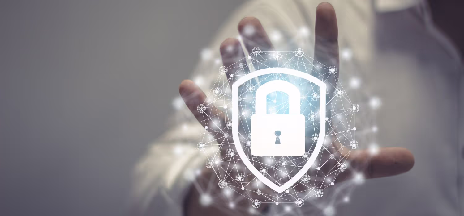 What are IT security solutions