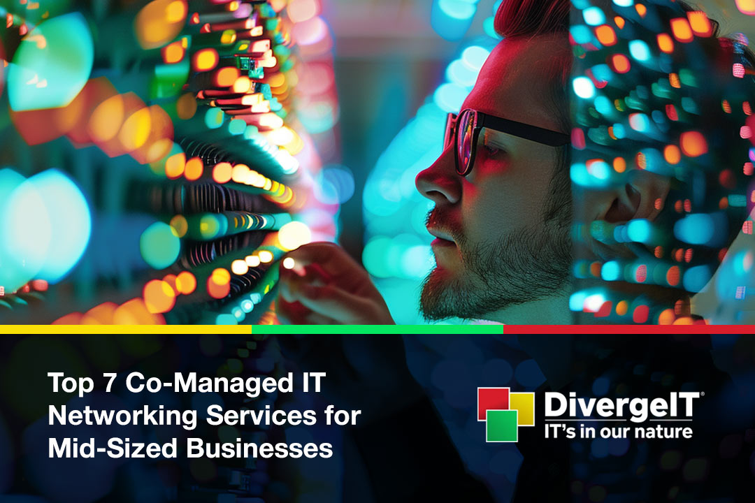 co-managed IT networking services