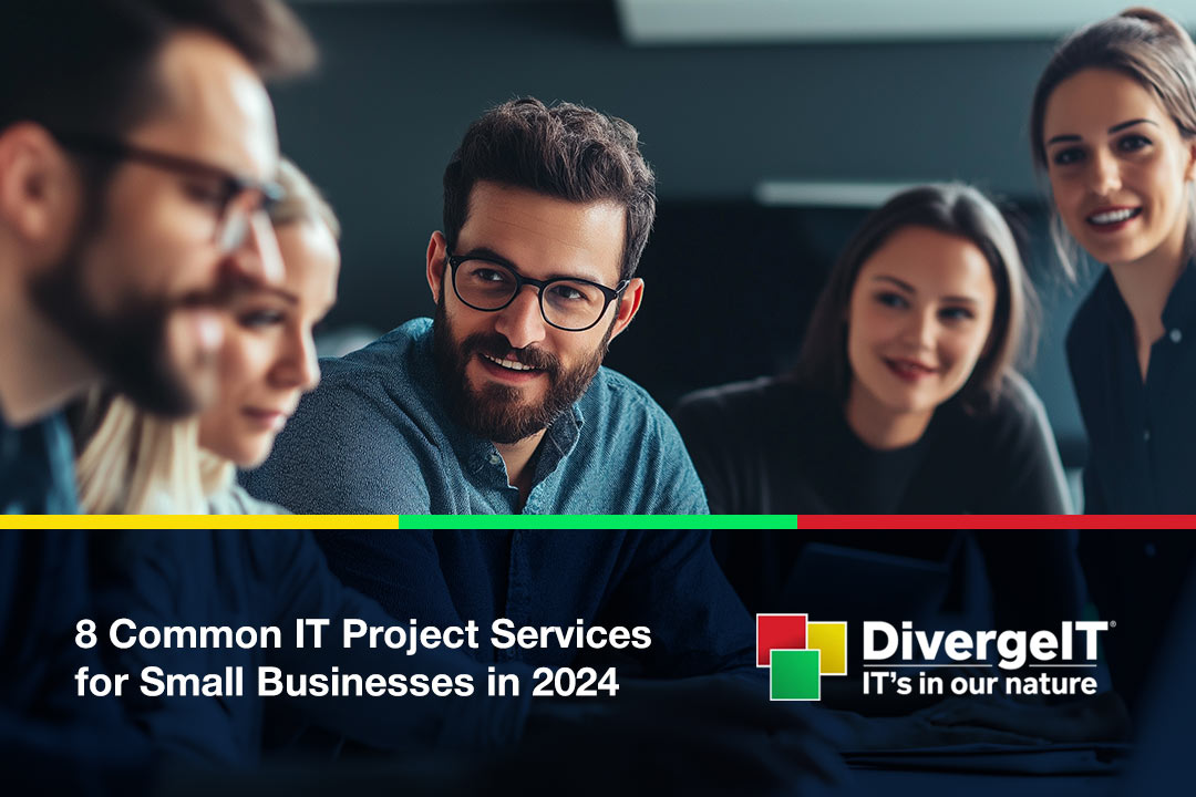 IT project services